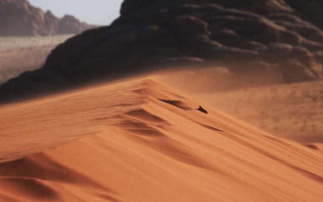 jordanwadirum201312241834