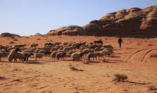 jordanwadirum201312251929