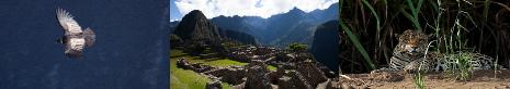 perucolca2013070612462