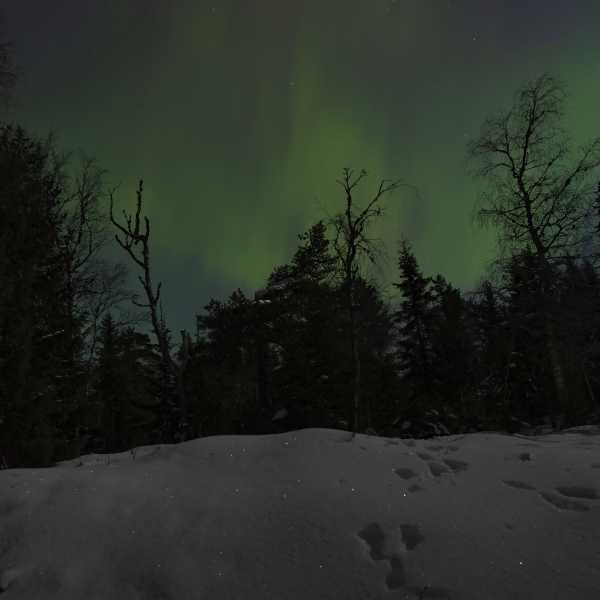 231125-nordlys-2