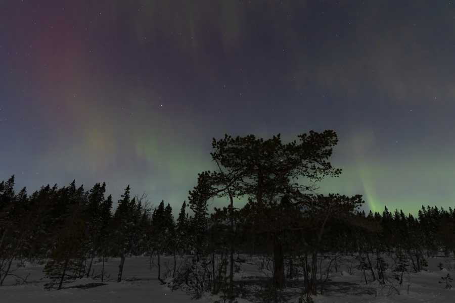 231125-nordlys-6